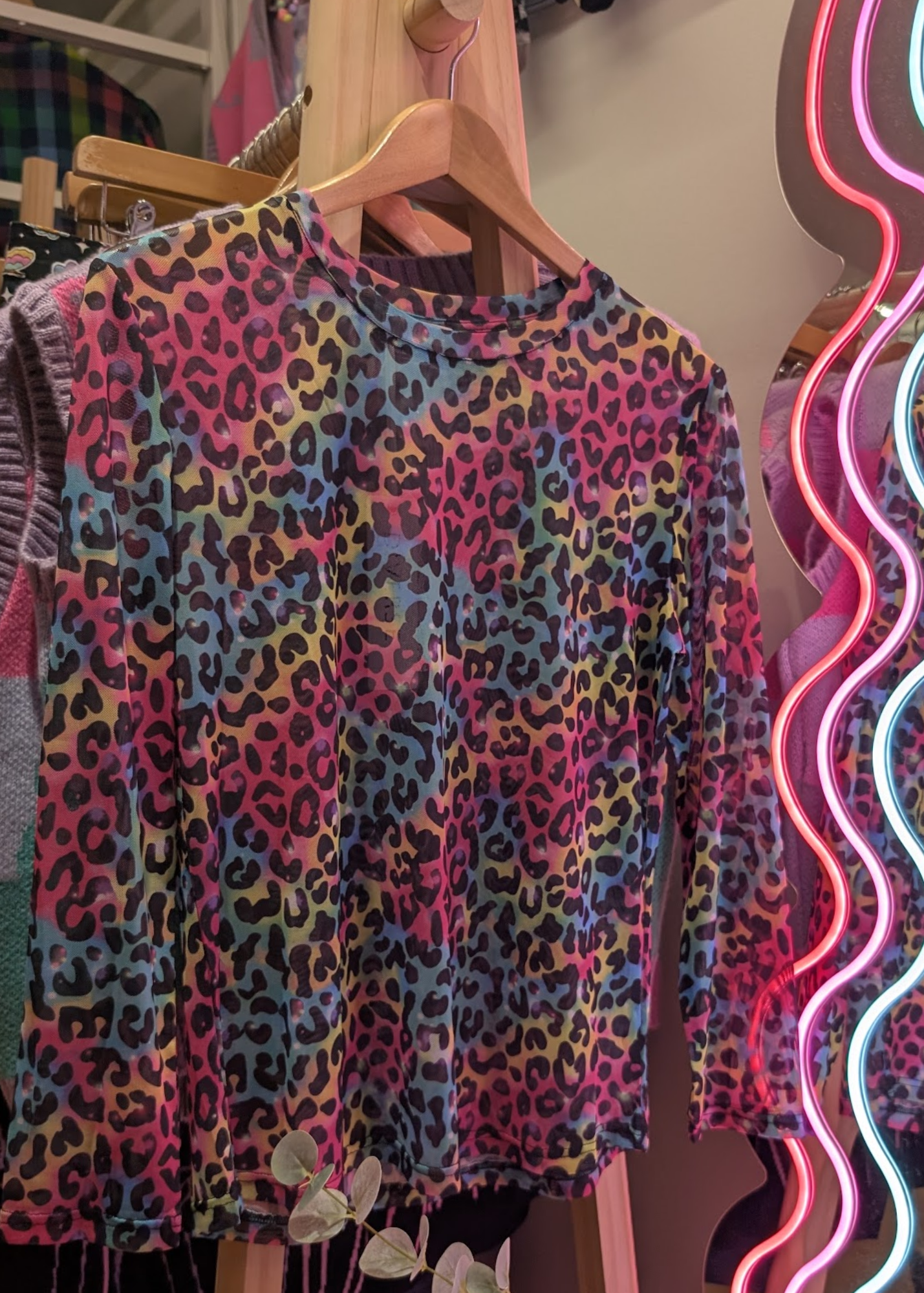 The Edit - Cosmic Rainbow Leopard Print Sheer Mesh Long Sleeve Top