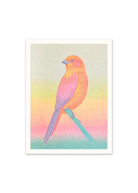 Ohh Deer - Neon Ombre Bird Riso Print