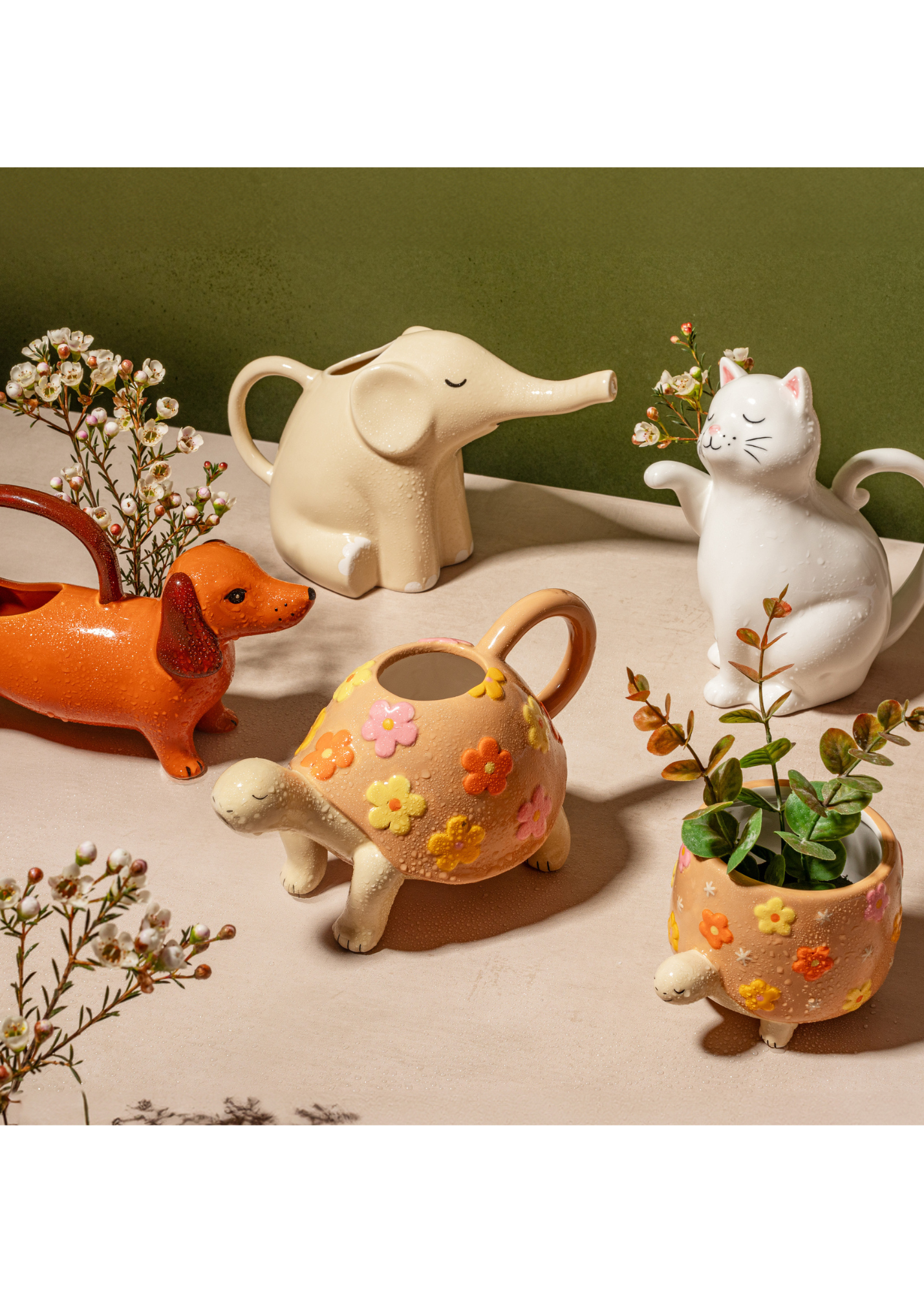 Sass & Belle - Tortoise Planter