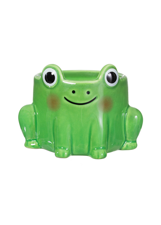 Sass & Belle - Mini Frog Planter