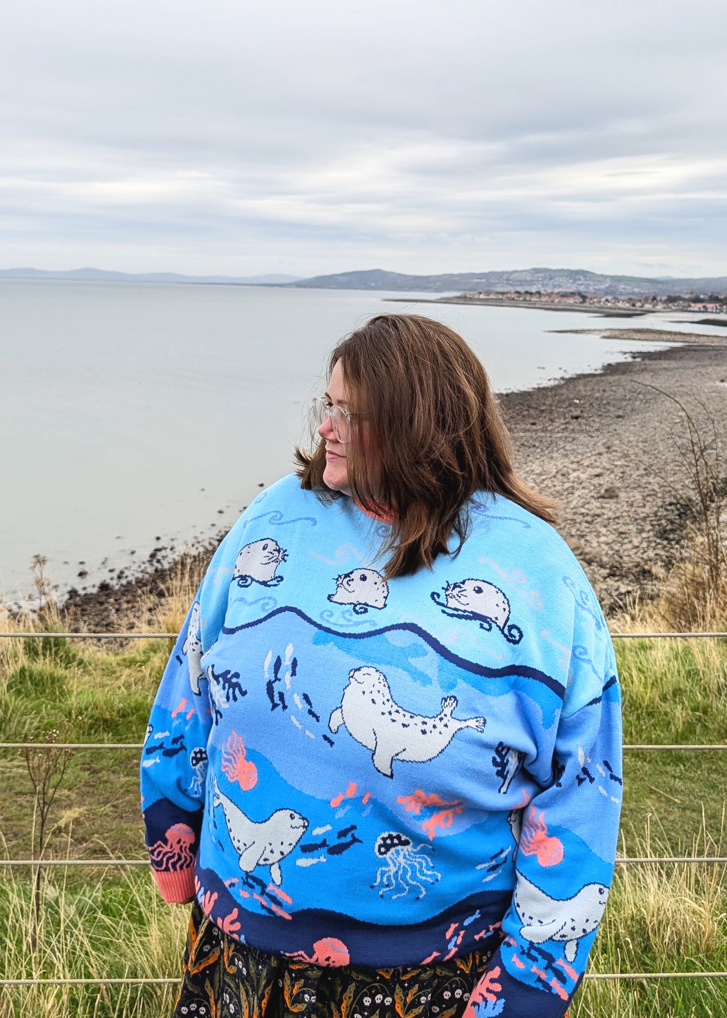 Home of Rainbows - Playful Seals Knit Jumper