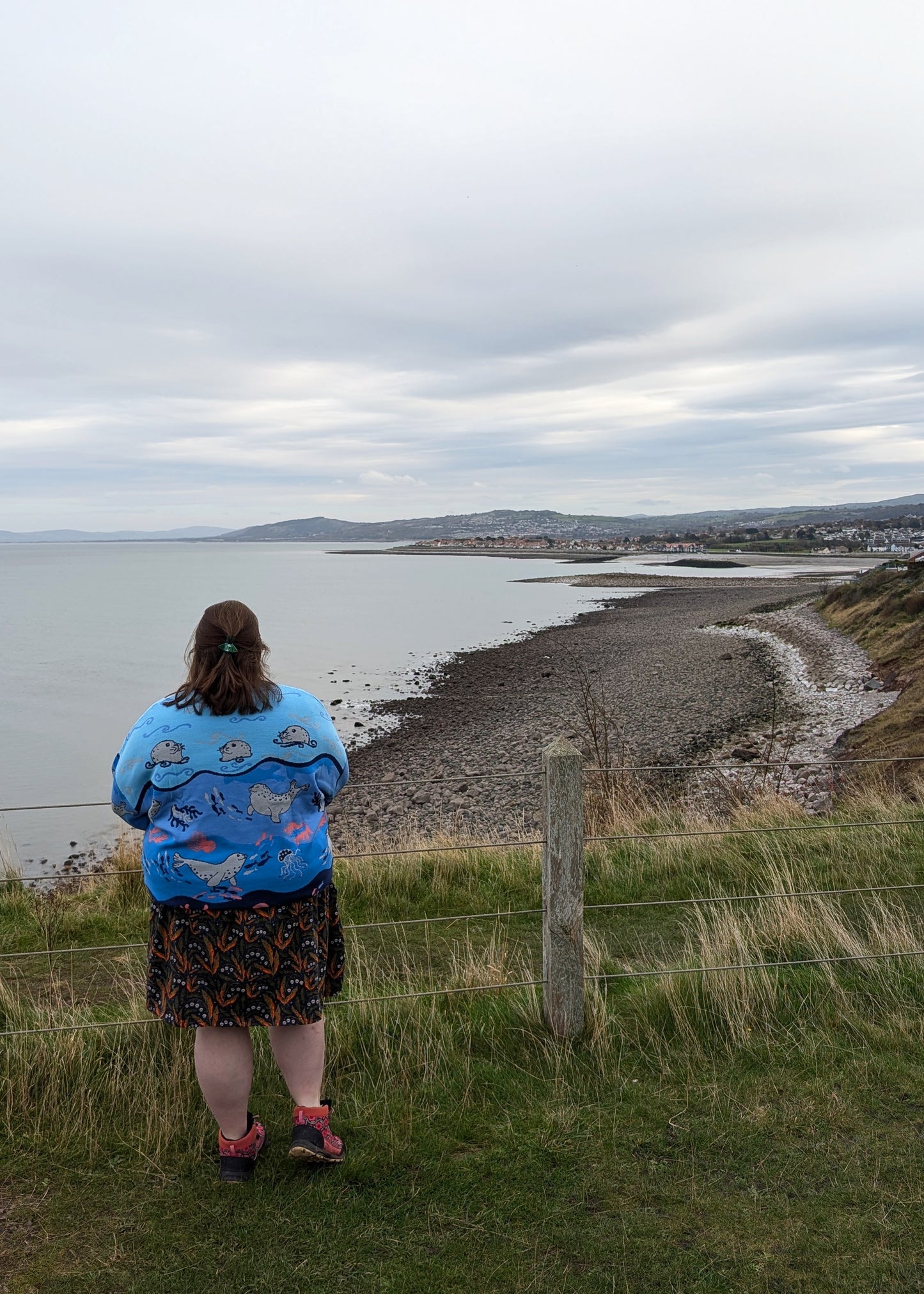 Home of Rainbows - Playful Seals Knit Jumper